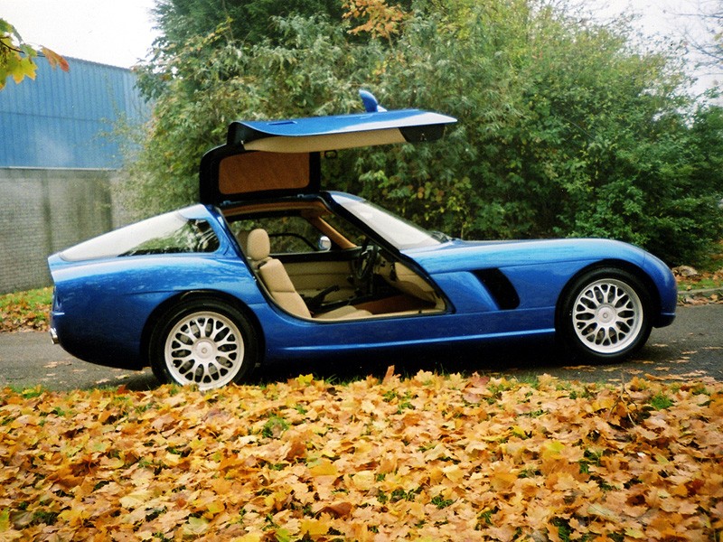 Bristol Fighter photo 13