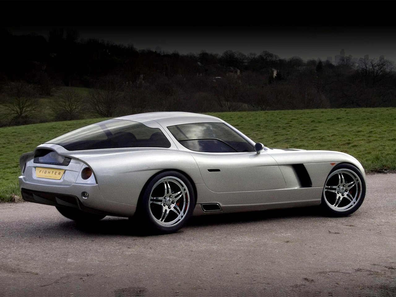 Bristol Fighter photo 17