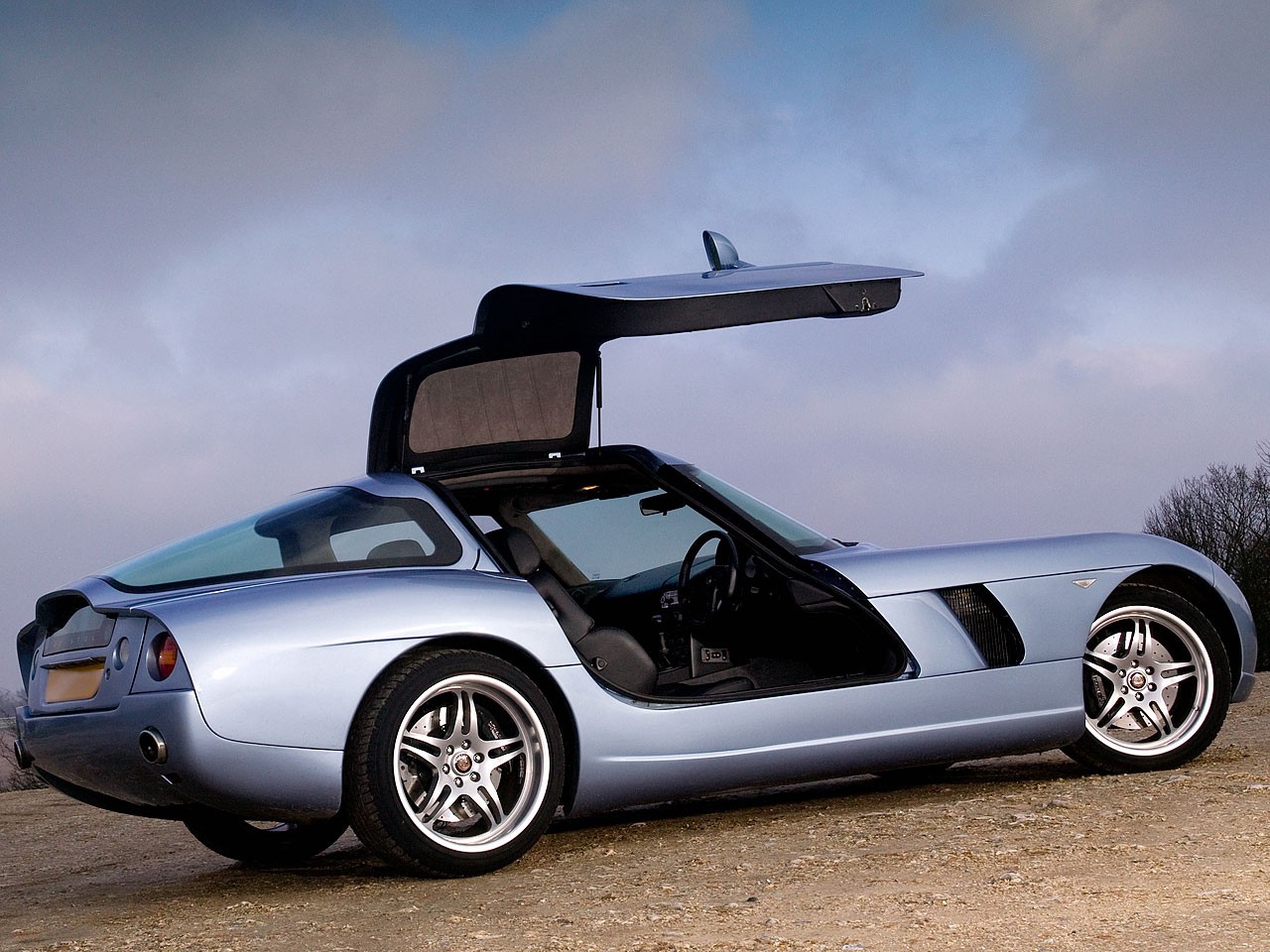 Bristol Fighter photo 22