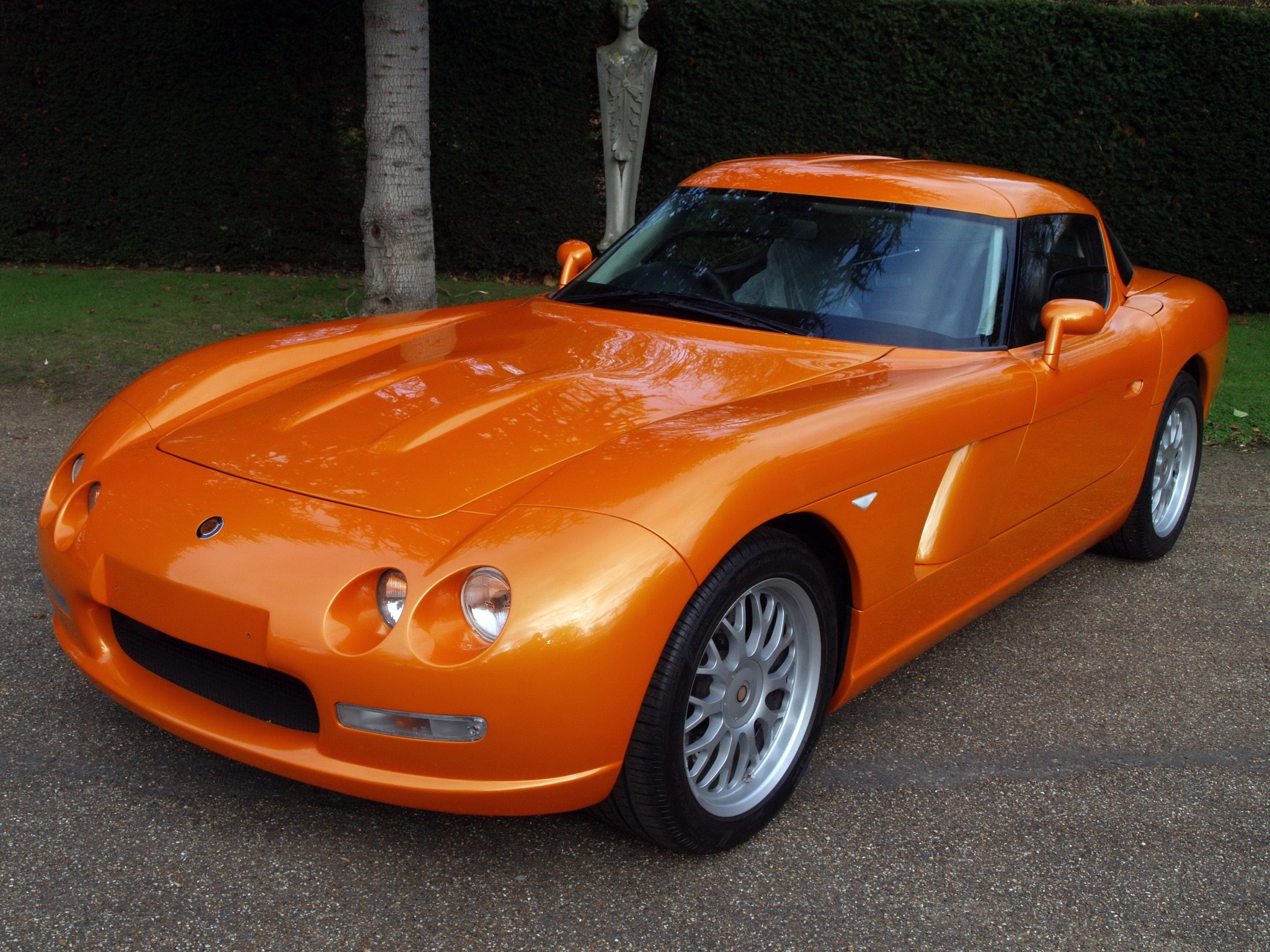 Bristol Fighter photo 24