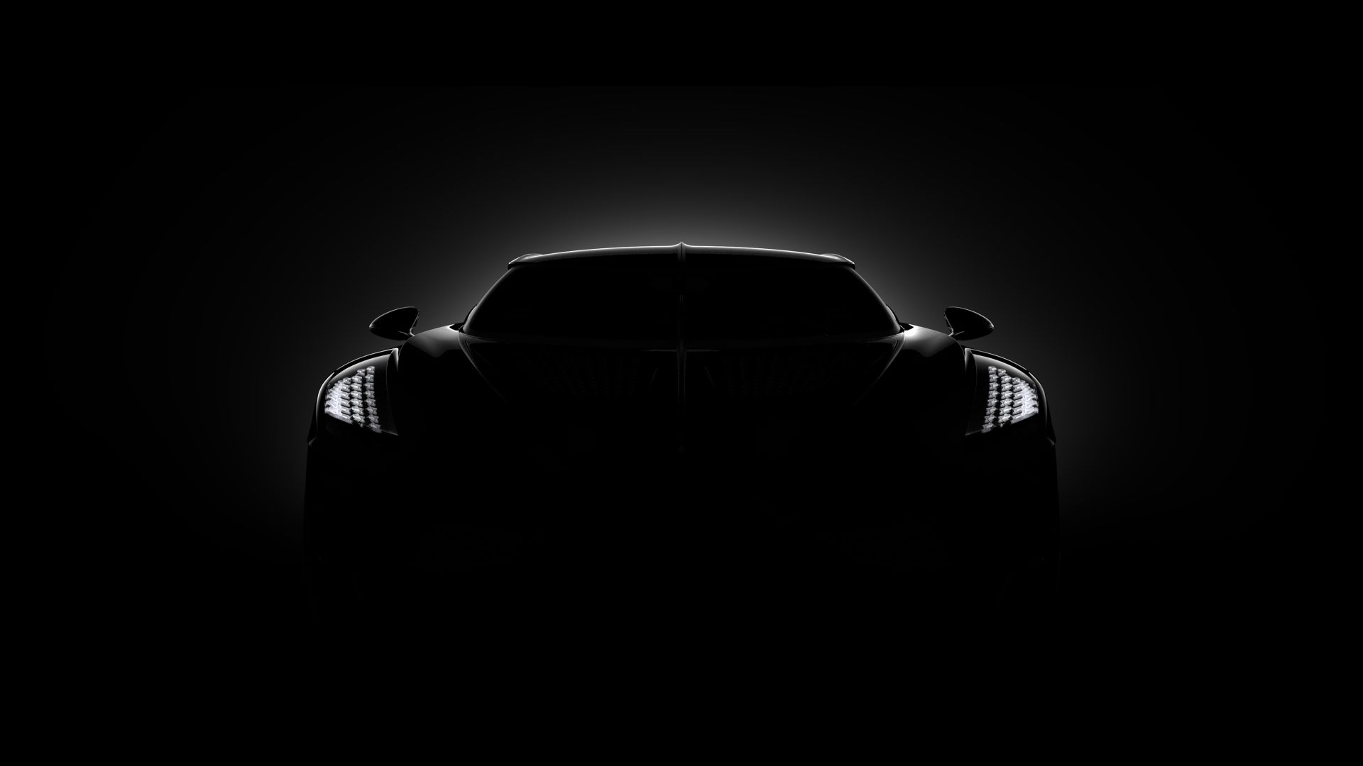 Bugatti La Voiture Noire photo 21