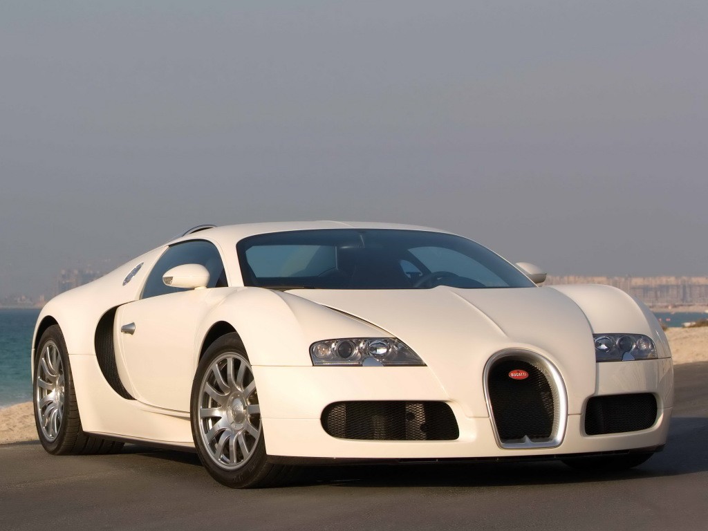Bugatti Veyron photo 13