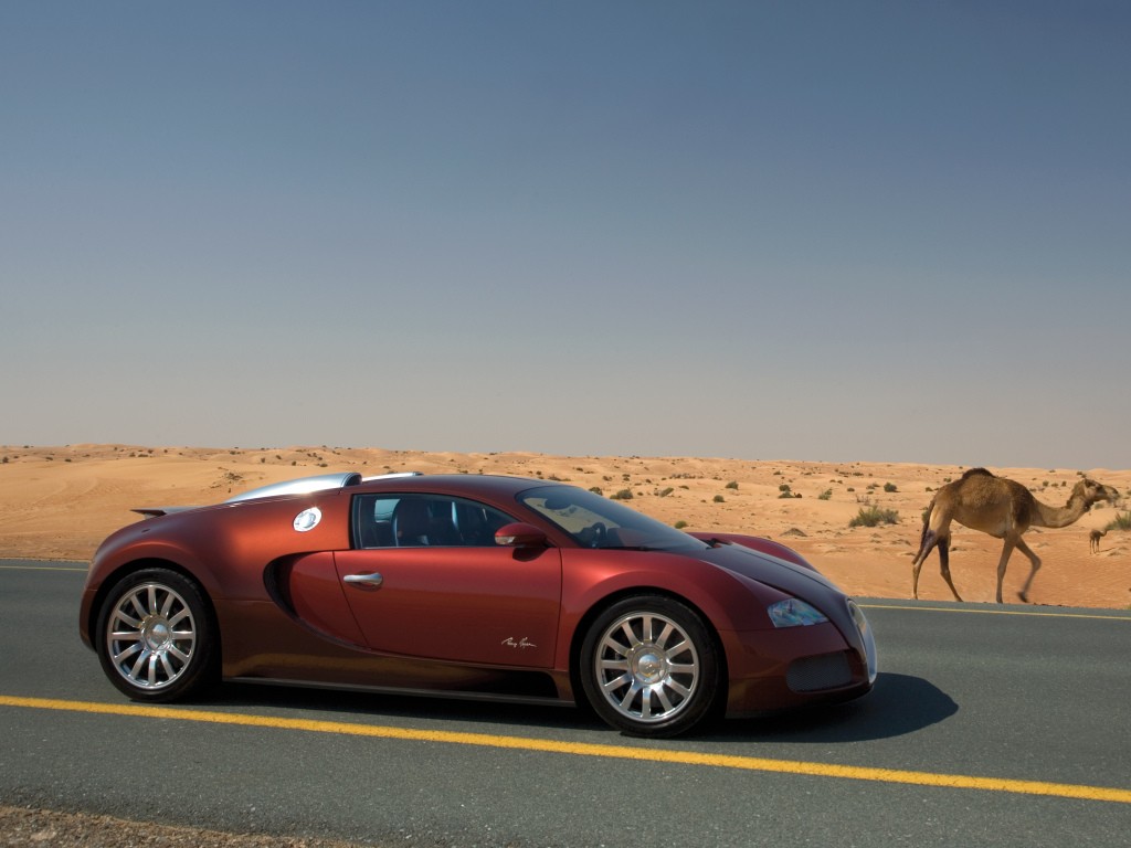 Bugatti Veyron photo 26