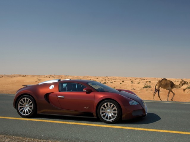 Bugatti Veyron photo 26