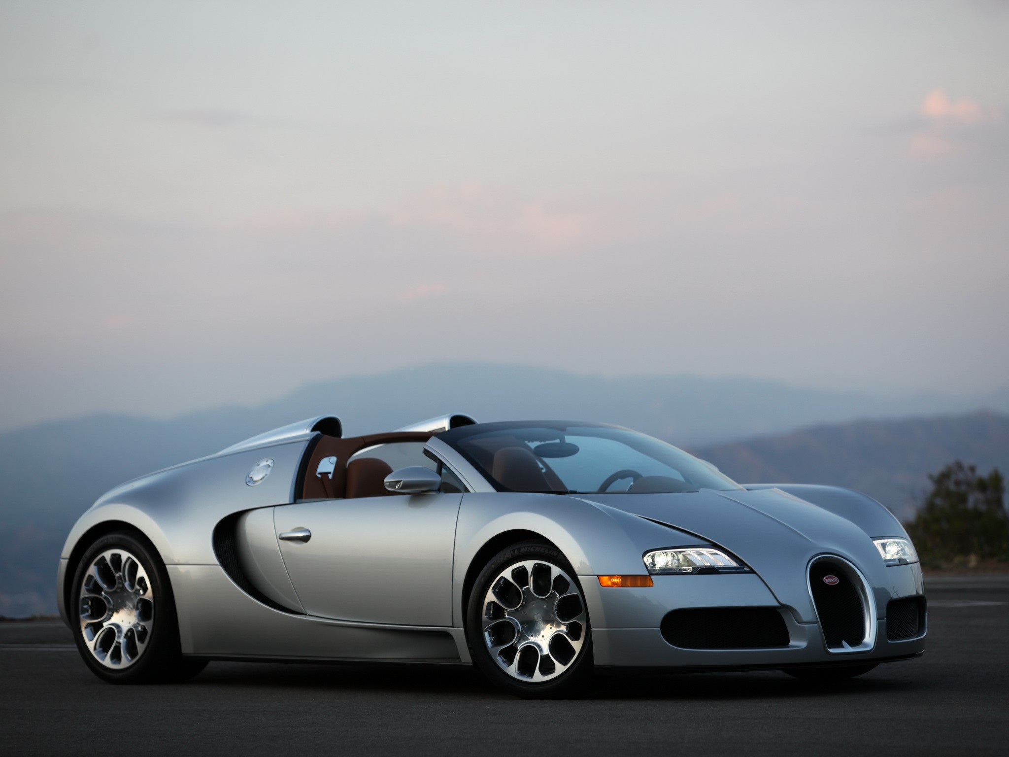 Bugatti Veyron photo 39