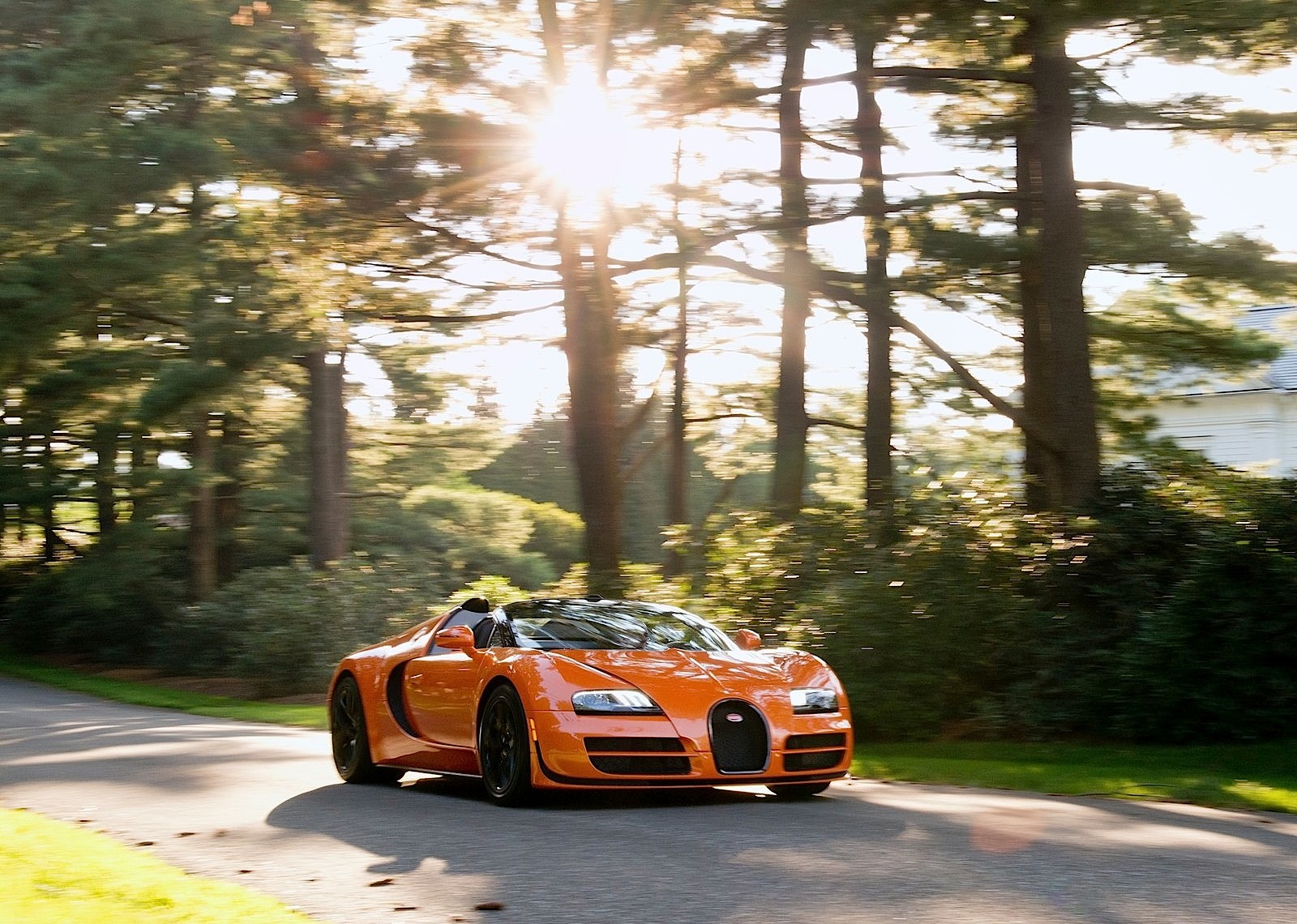 Bugatti Veyron photo 6