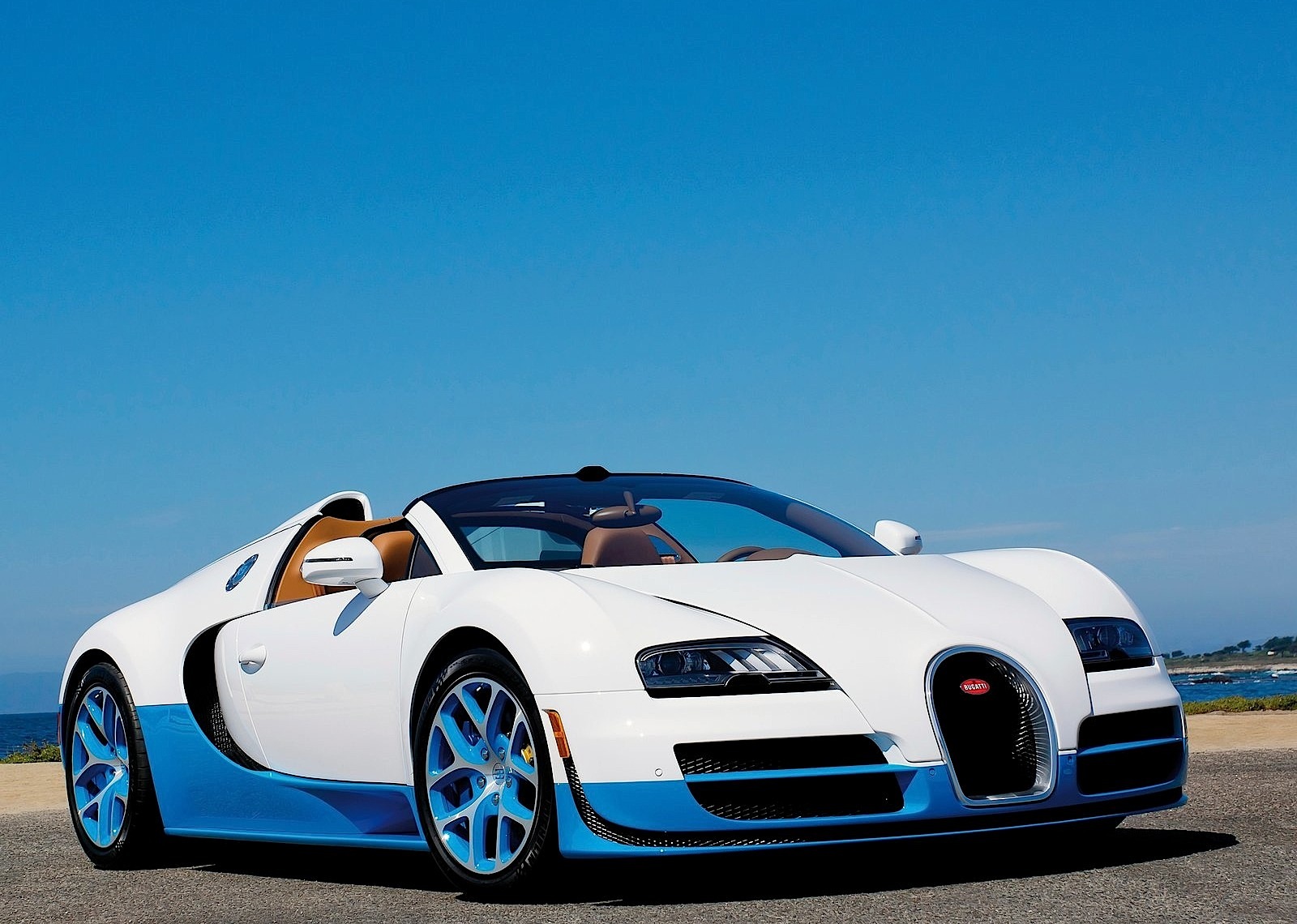 Bugatti Veyron photo 7