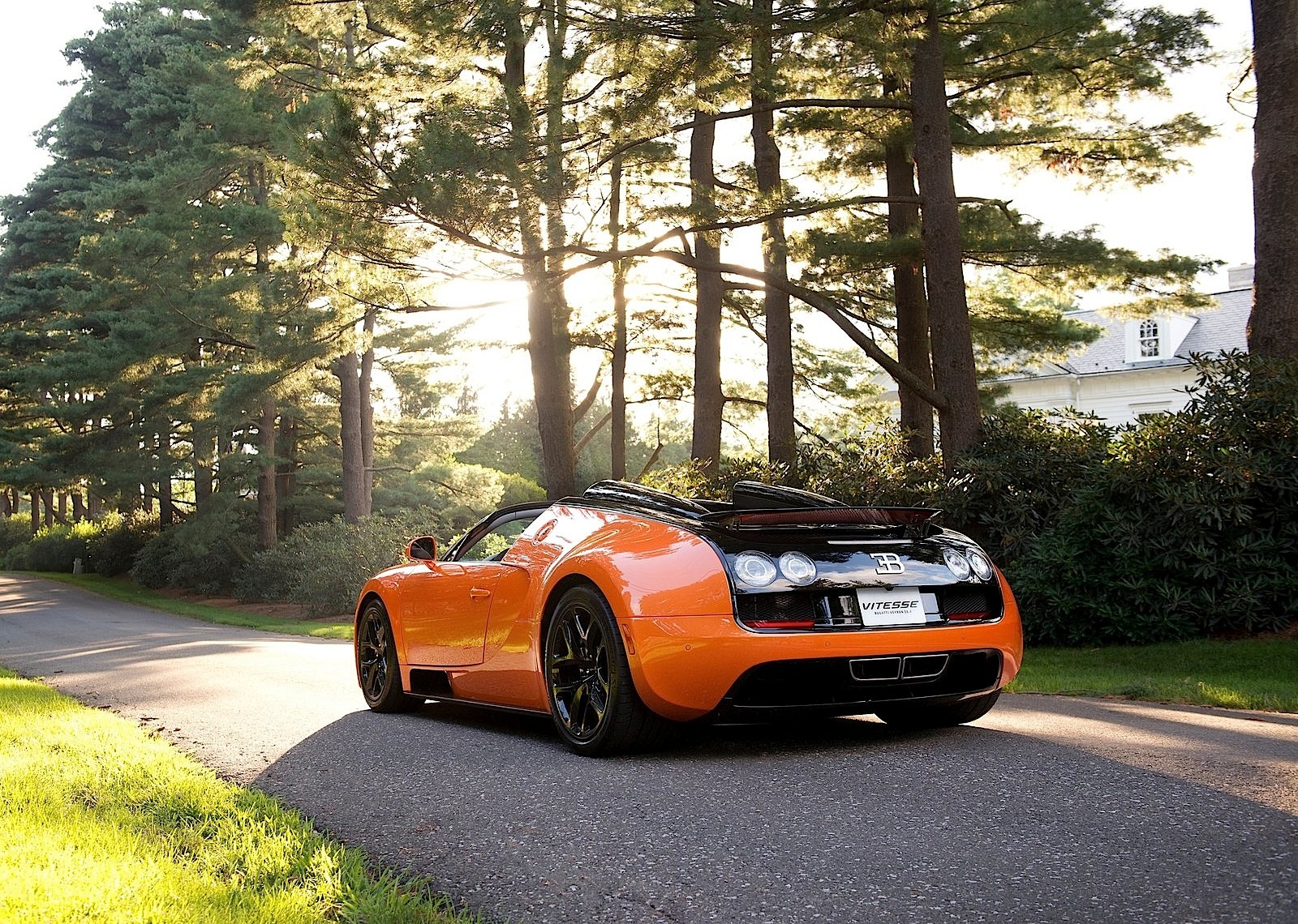 Bugatti Veyron photo 9
