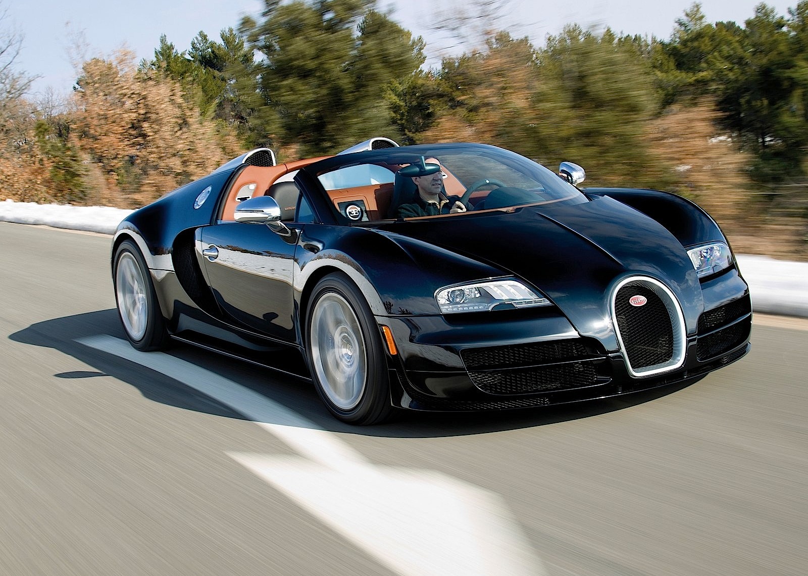 Bugatti Veyron photo 14