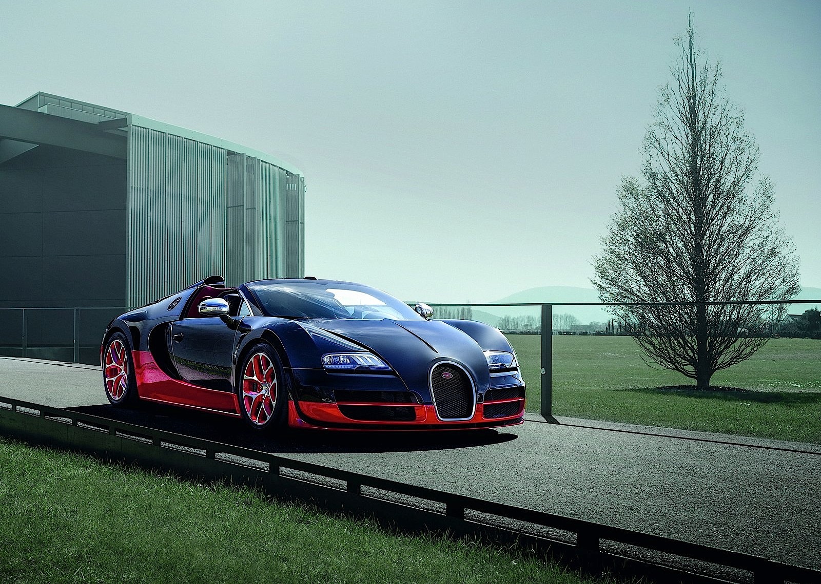 Bugatti Veyron photo 16