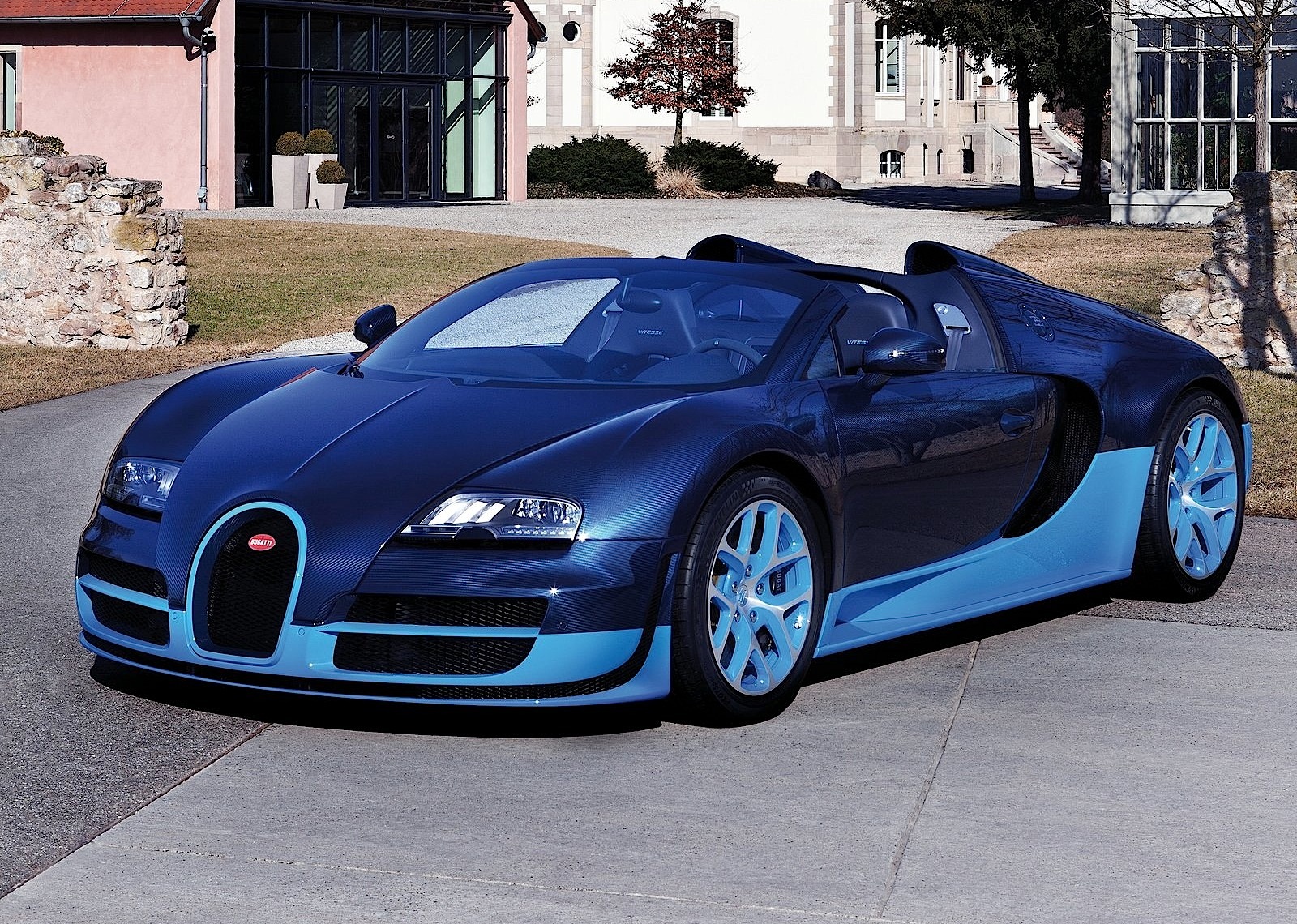 Bugatti Veyron photo 18