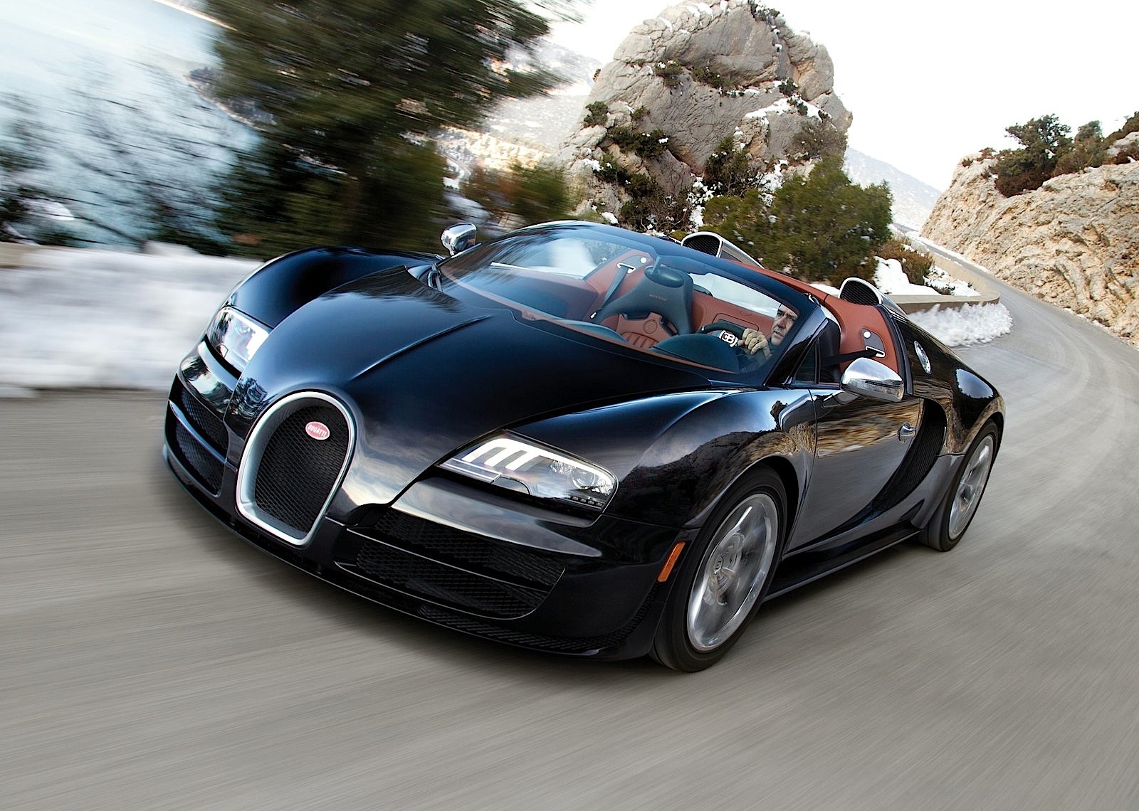 Bugatti Veyron photo 20