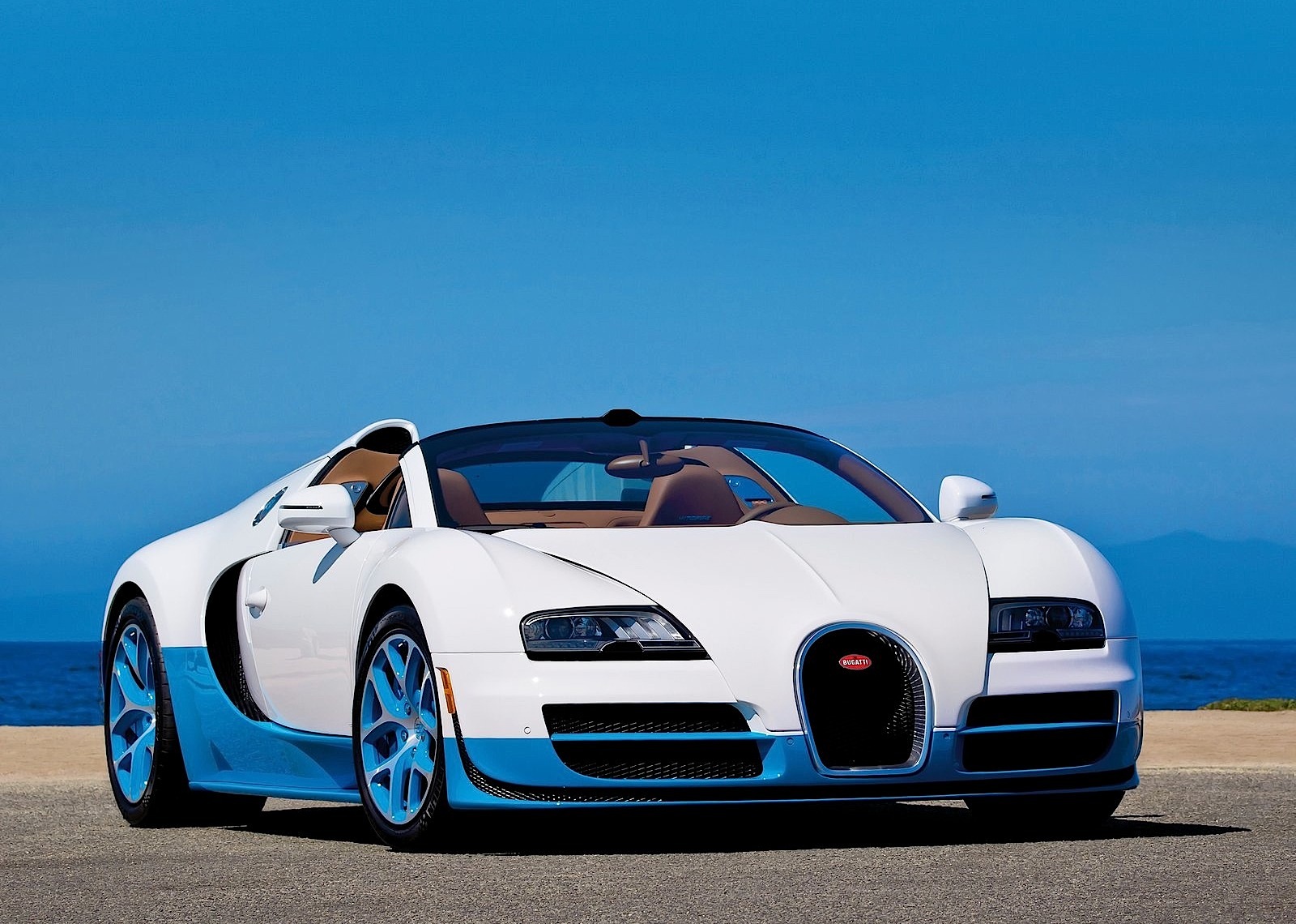 Bugatti Veyron photo 21