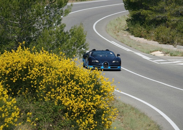 Bugatti Veyron photo 28