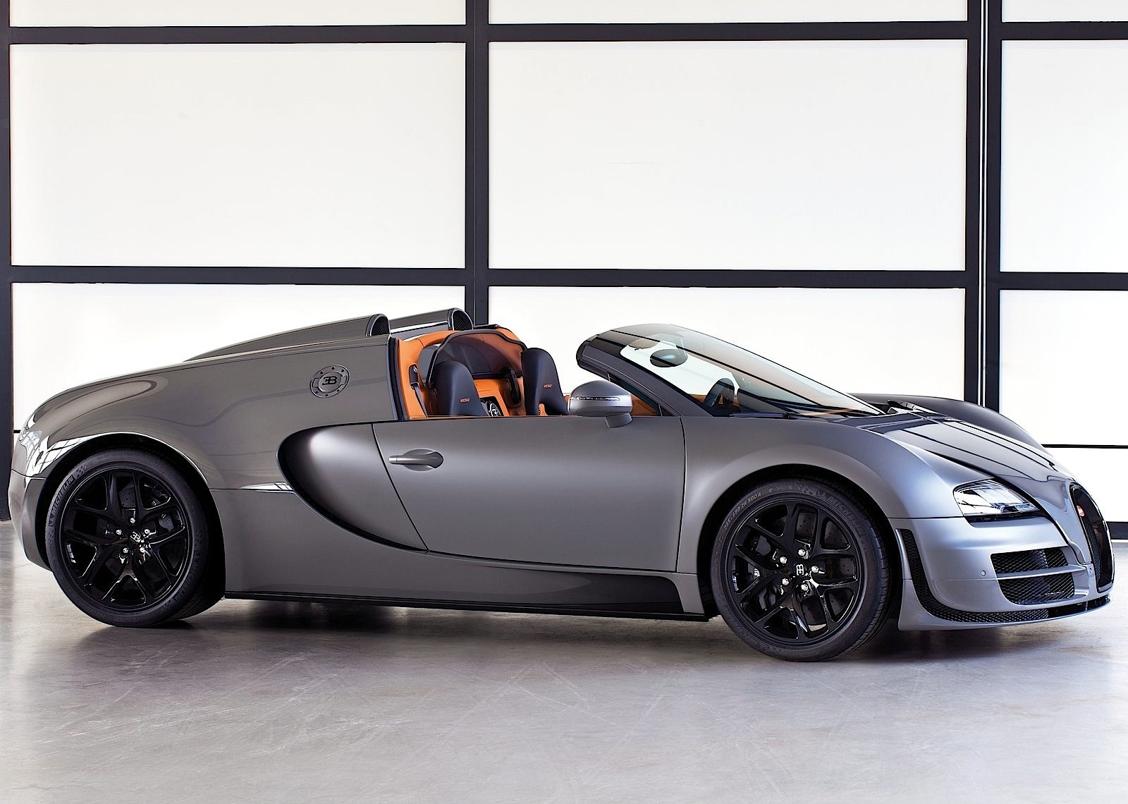 Bugatti Veyron photo 29