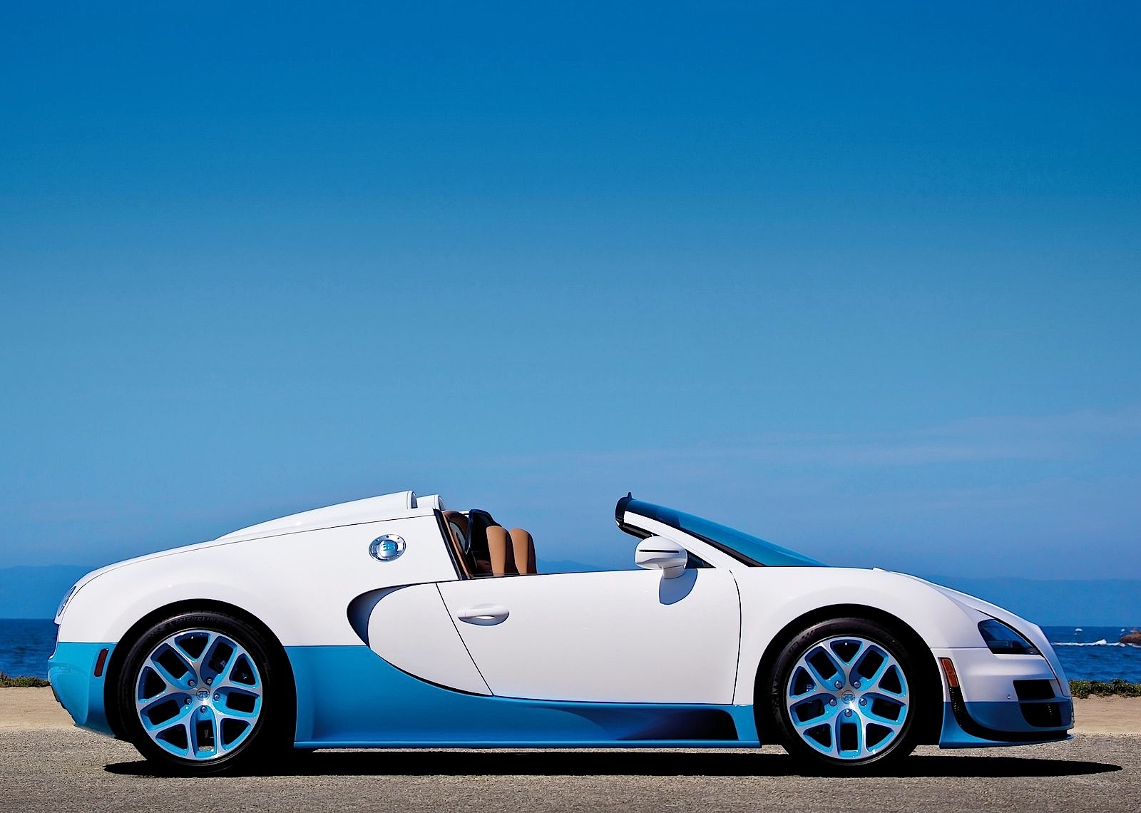 Bugatti Veyron photo 30