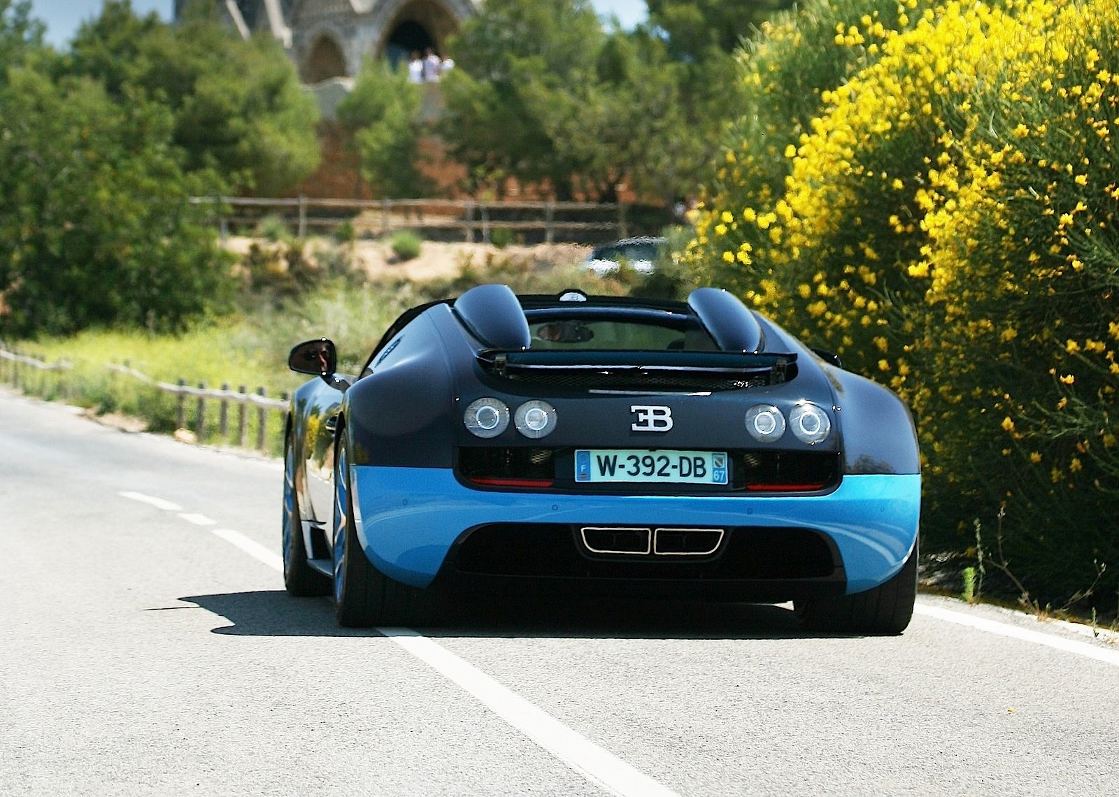 Bugatti Veyron photo 35