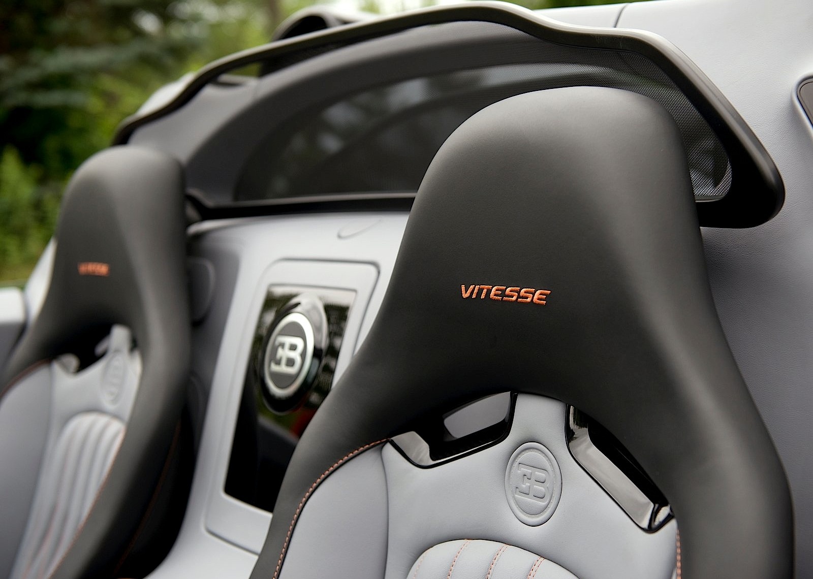 Bugatti Veyron photo 55