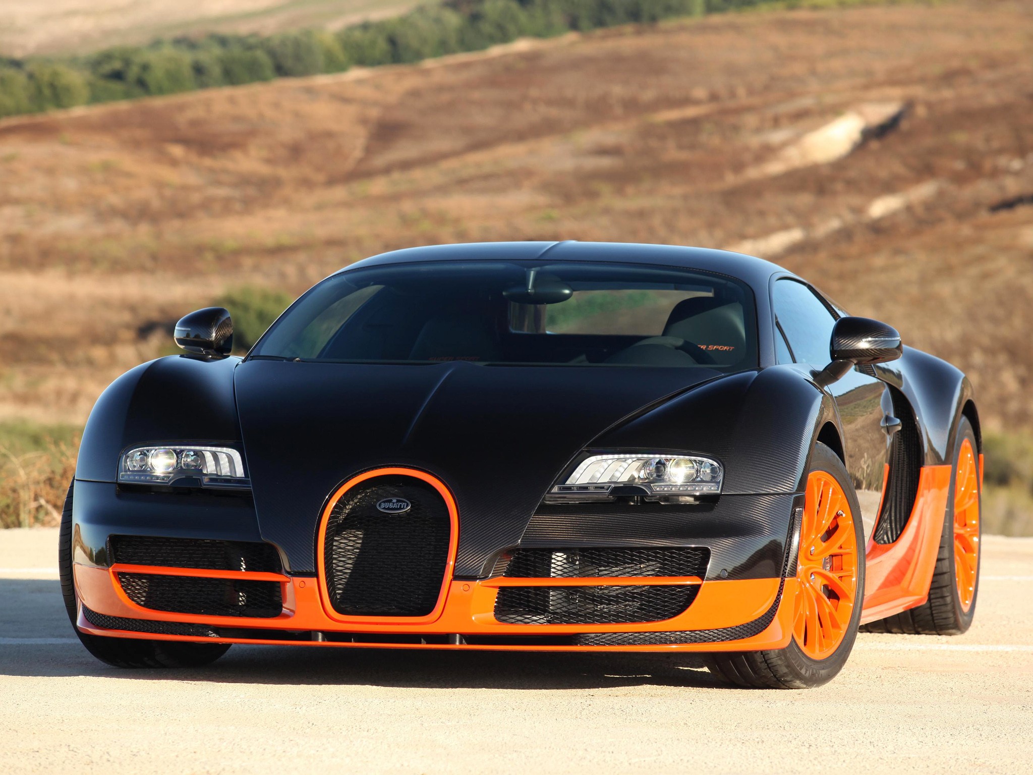 Bugatti Veyron photo 28