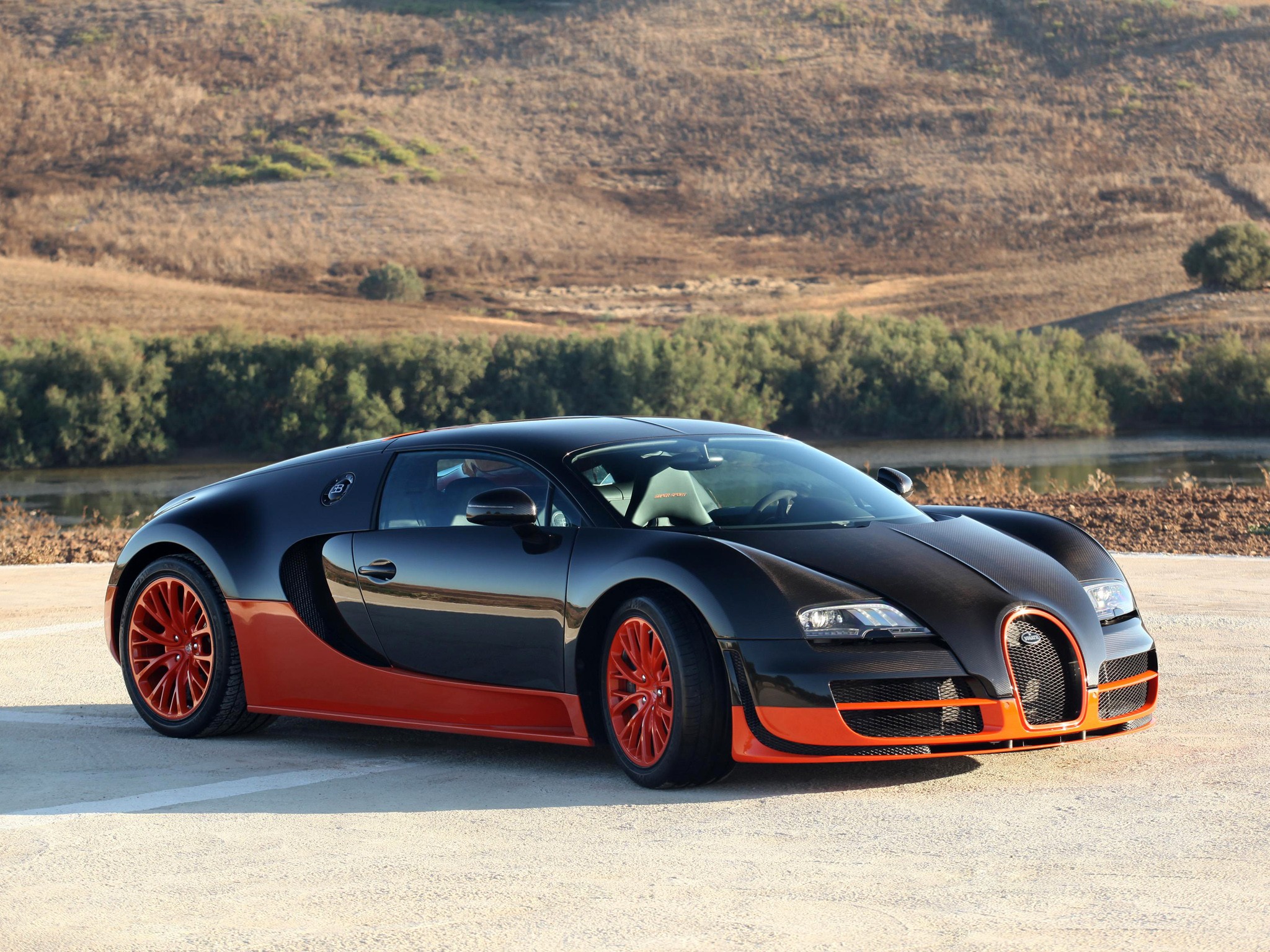 Bugatti Veyron photo 30