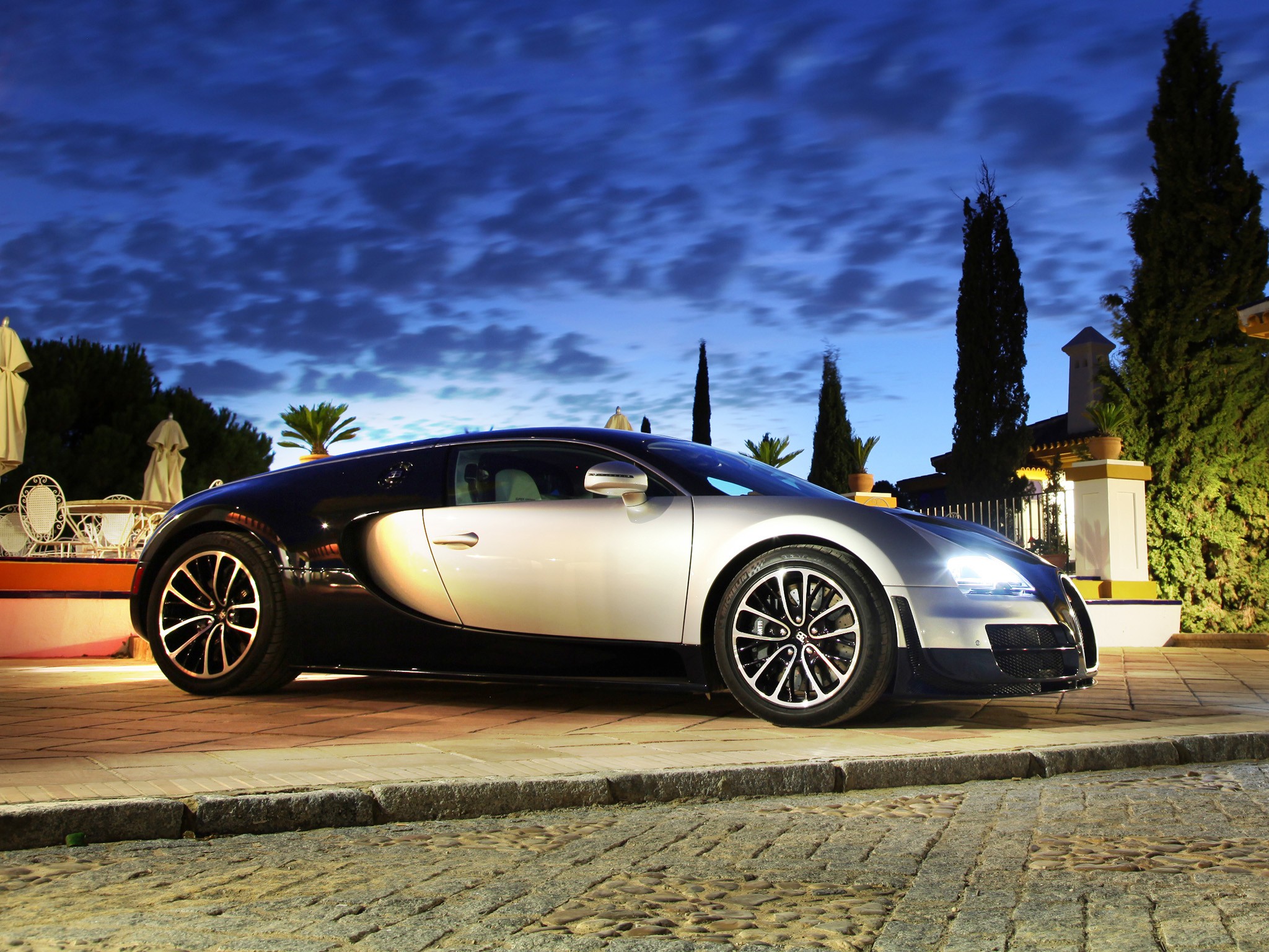 Bugatti Veyron photo 32