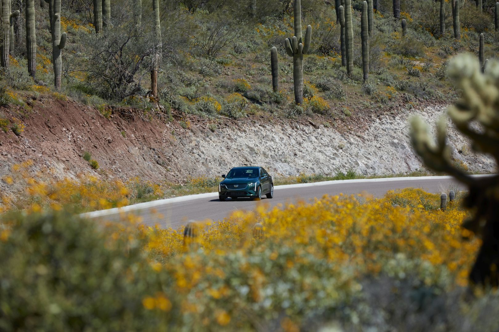 Cadillac Ct4 photo 15