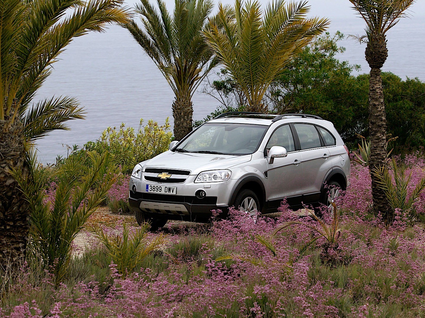 Chevrolet Captiva photo 10