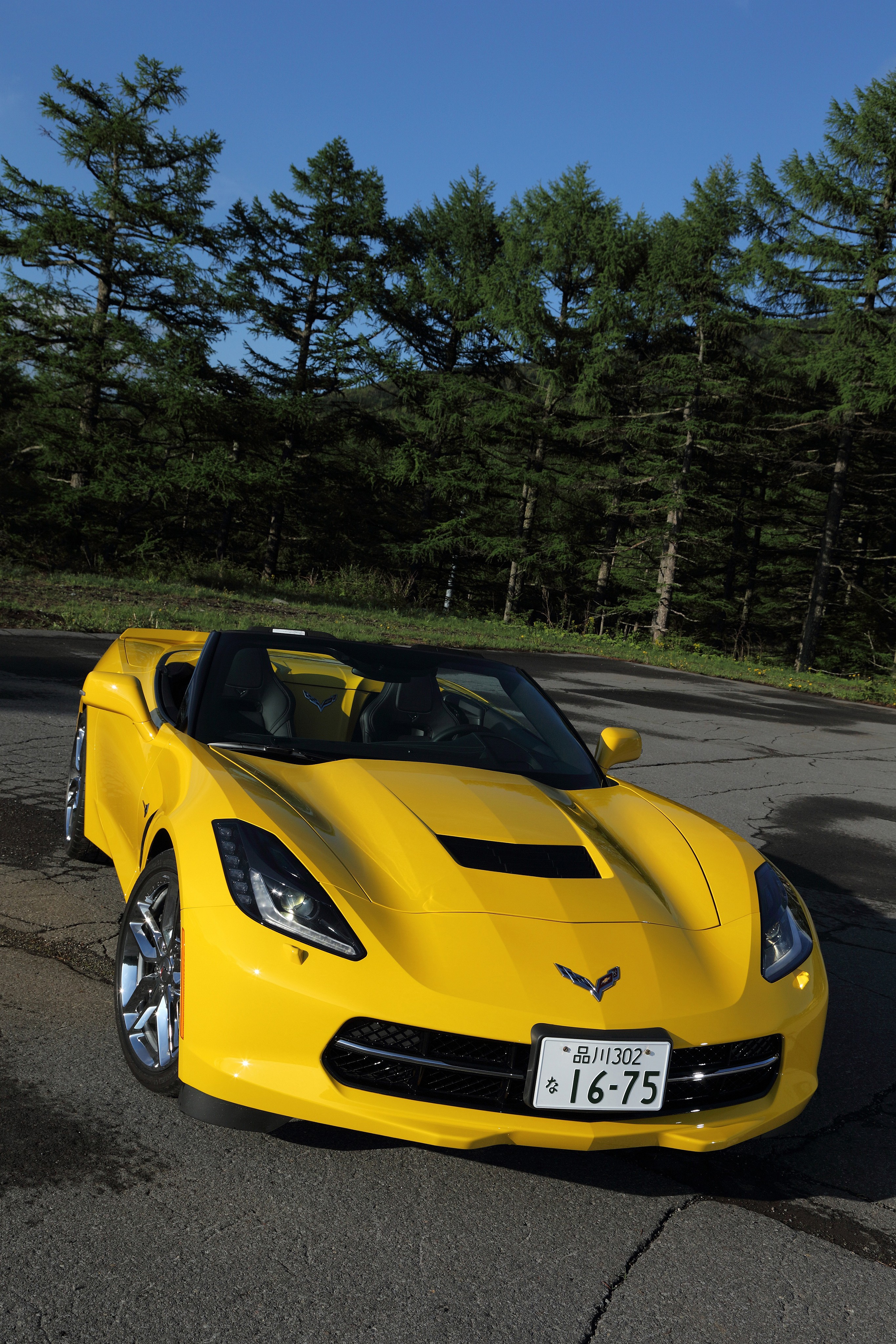 Chevrolet Corvette Convertible photo 31