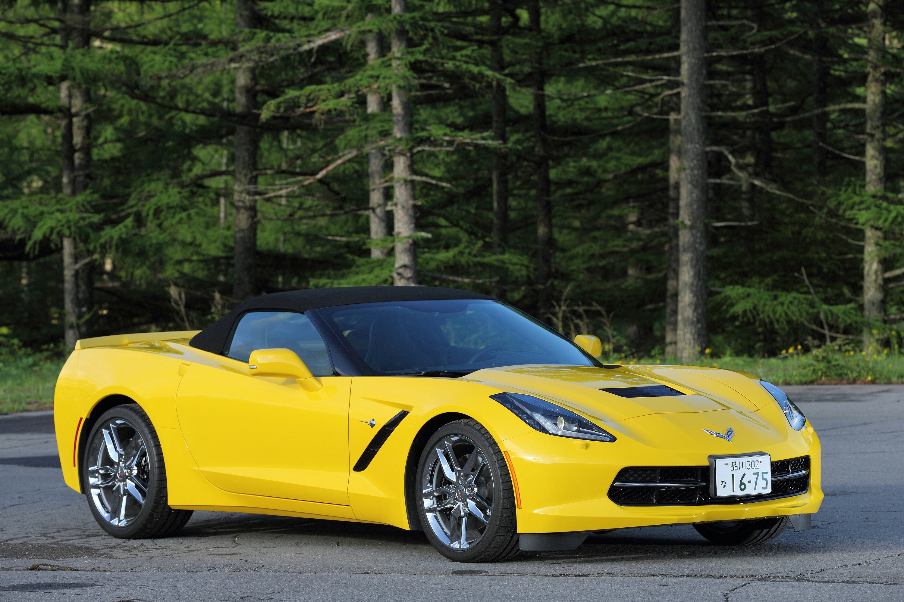 Chevrolet Corvette Convertible photo 33