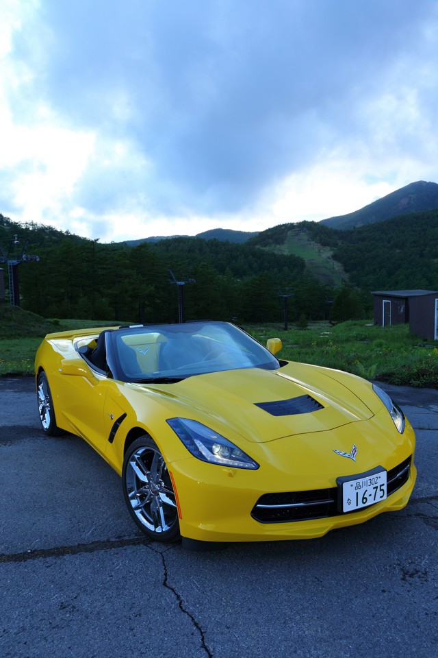Chevrolet Corvette Convertible photo 35