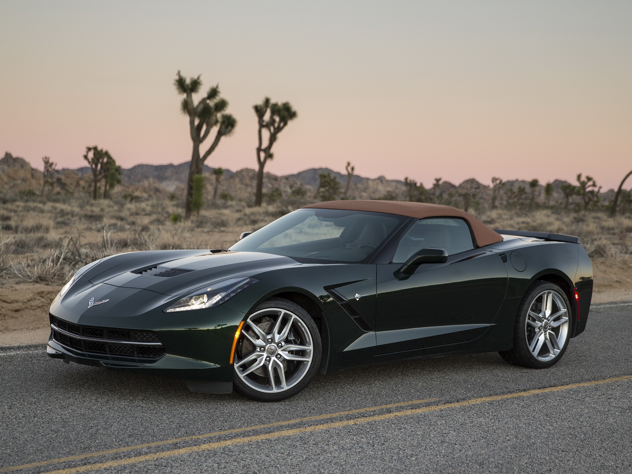 Chevrolet Corvette Convertible photo 62