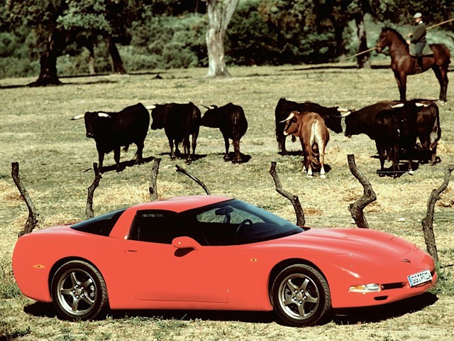 Chevrolet Corvette Coupe Foto 33