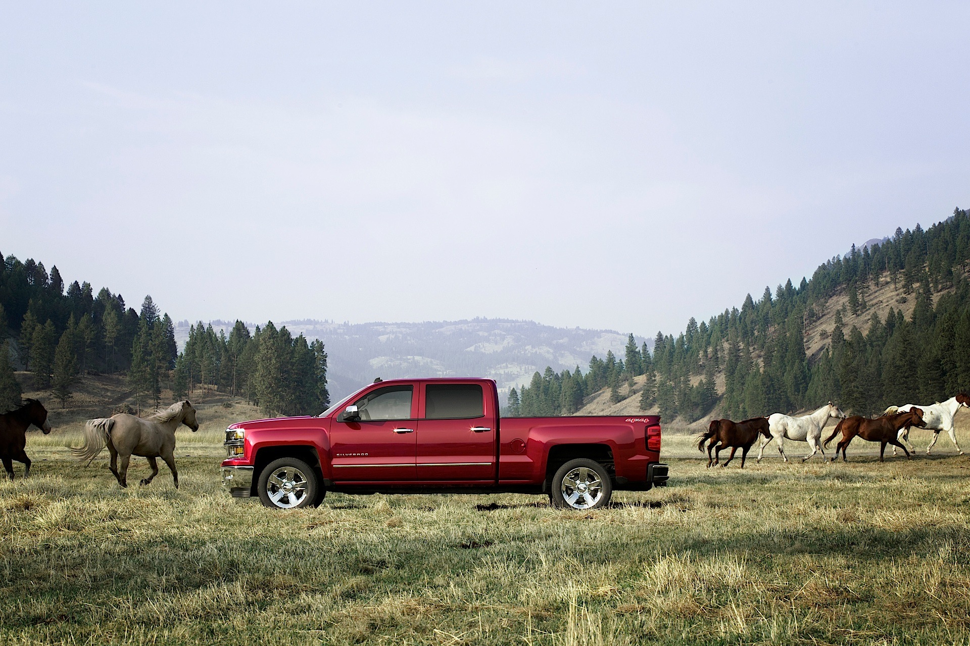 Chevrolet Silverado photo 7