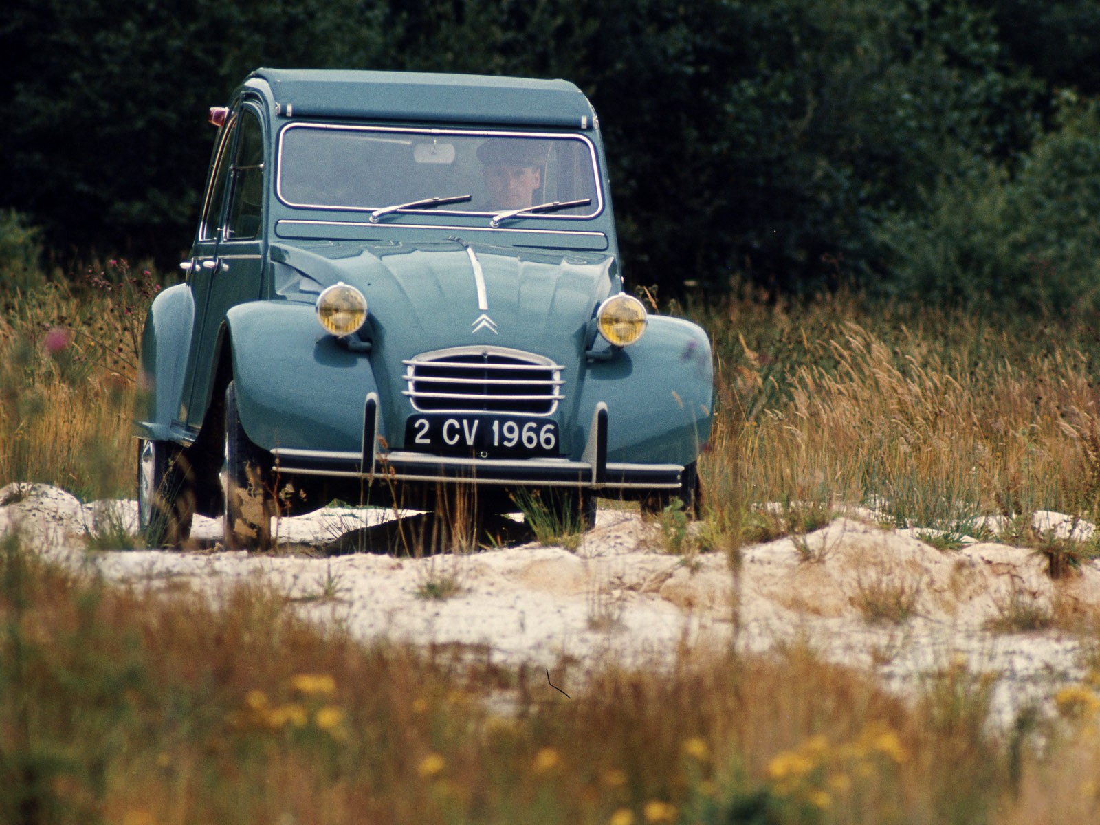Citroen 2Cv photo 83