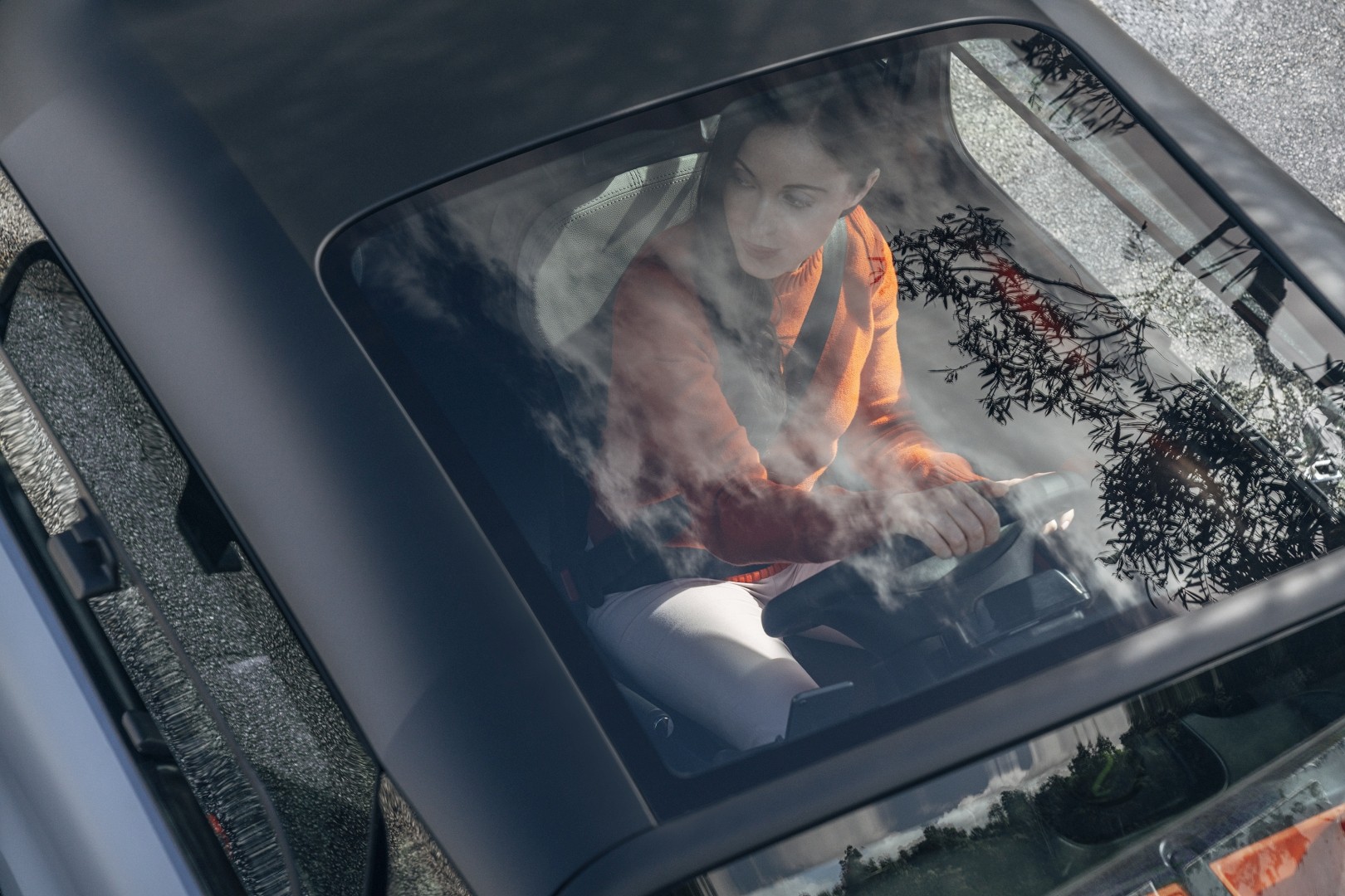 Citroen Ami photo 11