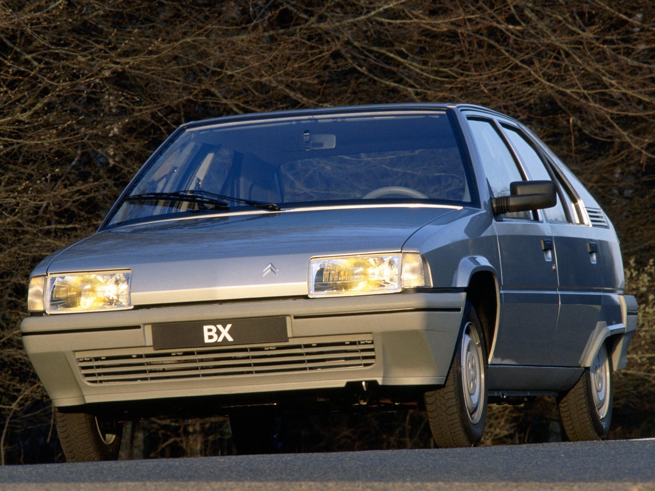 Citroen Bx photo 8