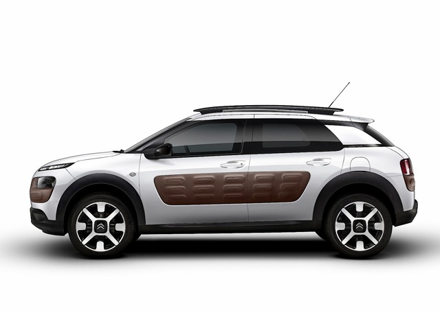 Citroen C4 Cactus foto 13