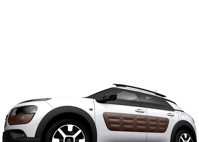 Citroen C4 Cactus foto 17