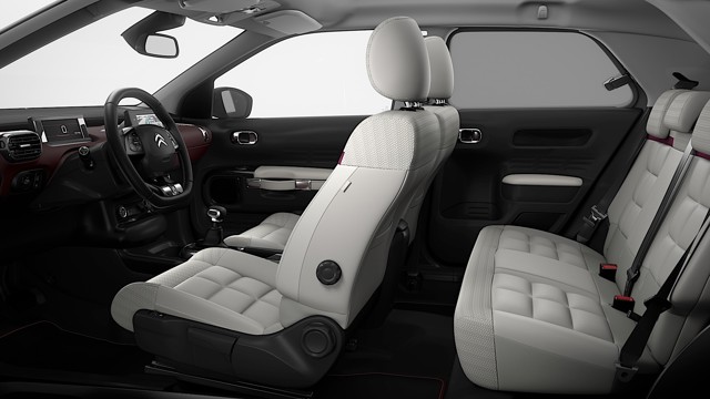 Citroen C4 Cactus photo 18