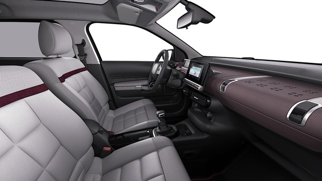 Citroen C4 Cactus photo 19