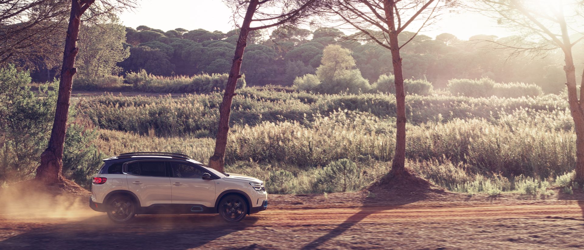 Citroen C5 Aircross photo 36