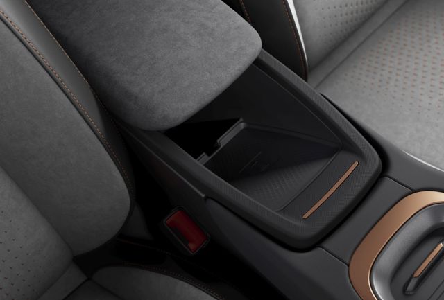 Cupra Born photo 37