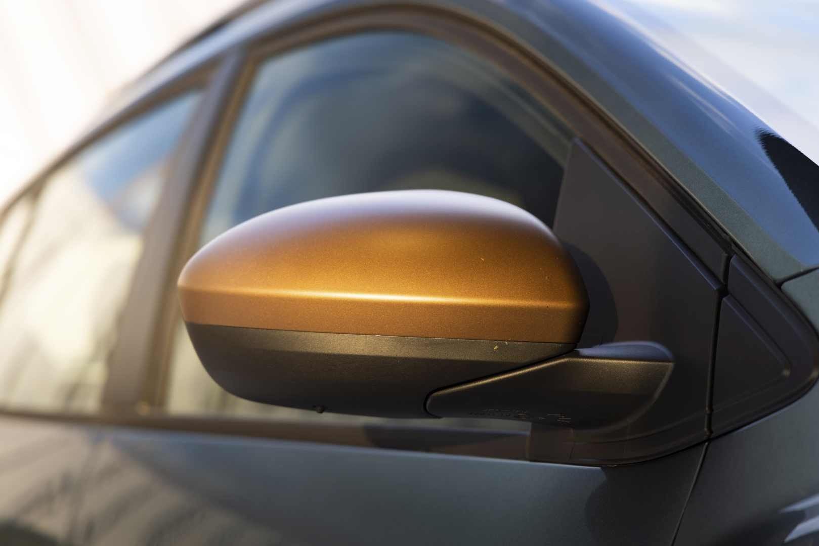 Dacia Sandero Stepway photo 19