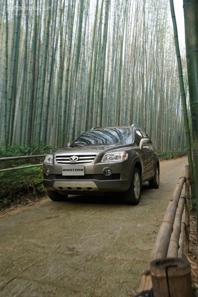 Daewoo Winstorm photo 2
