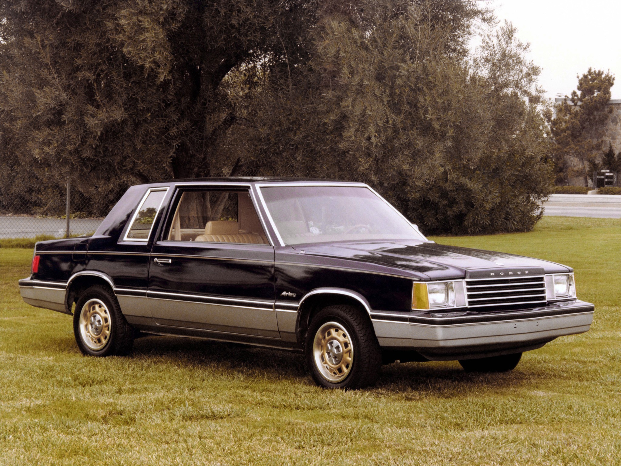 Dodge Aries Coupe photo 2