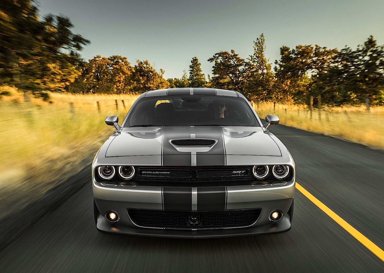 Dodge Challenger Srt photo 12