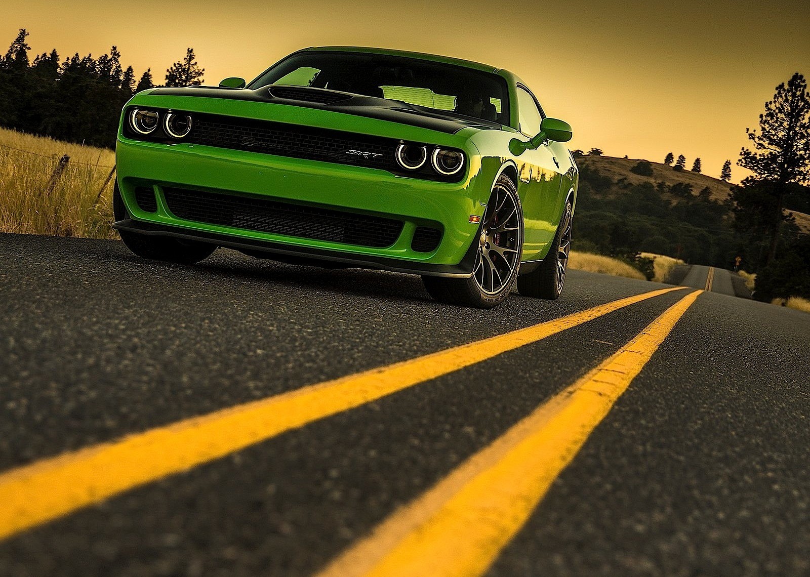 Dodge Challenger Srt photo 40