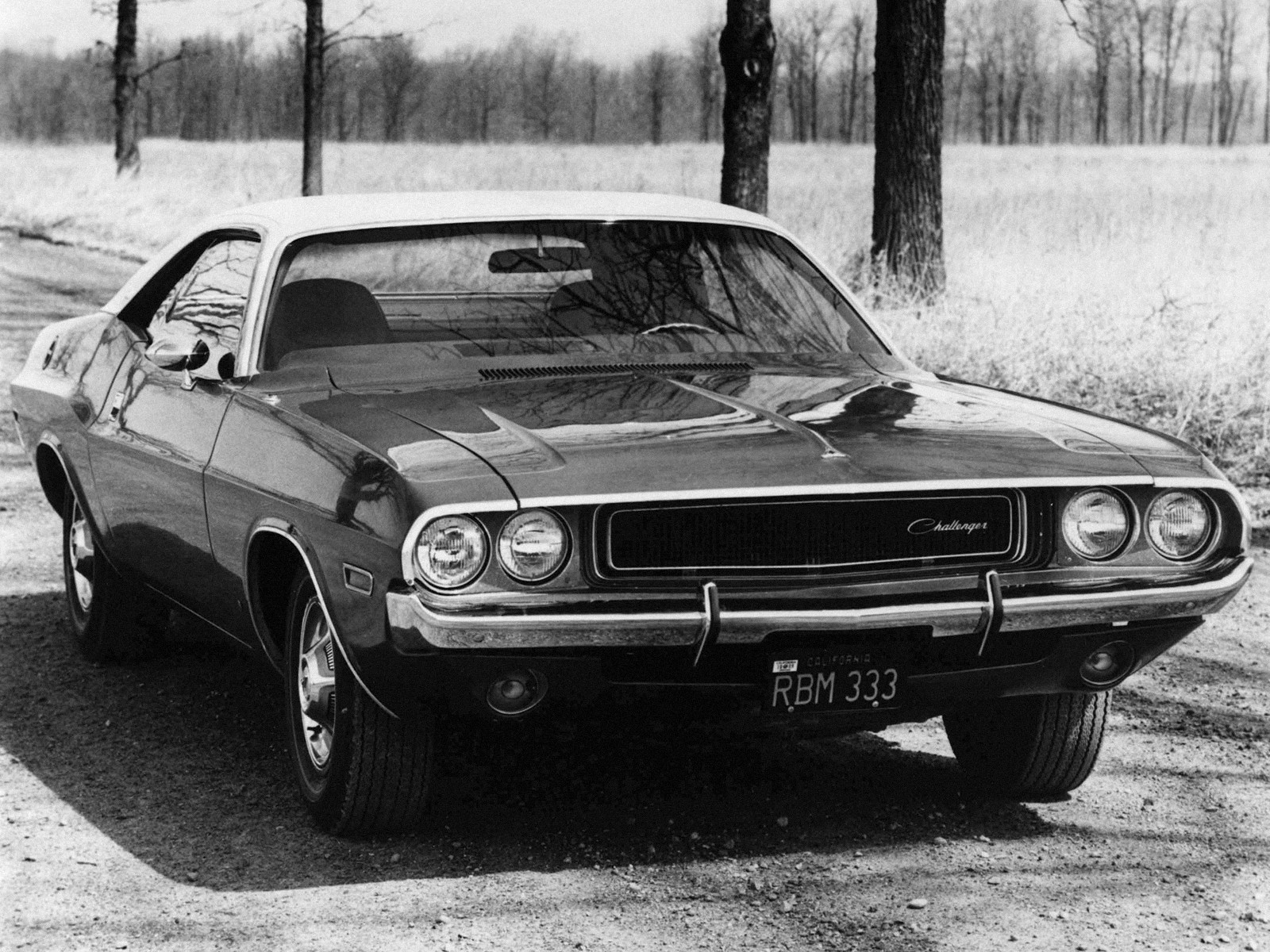 Dodge Challenger photo 22