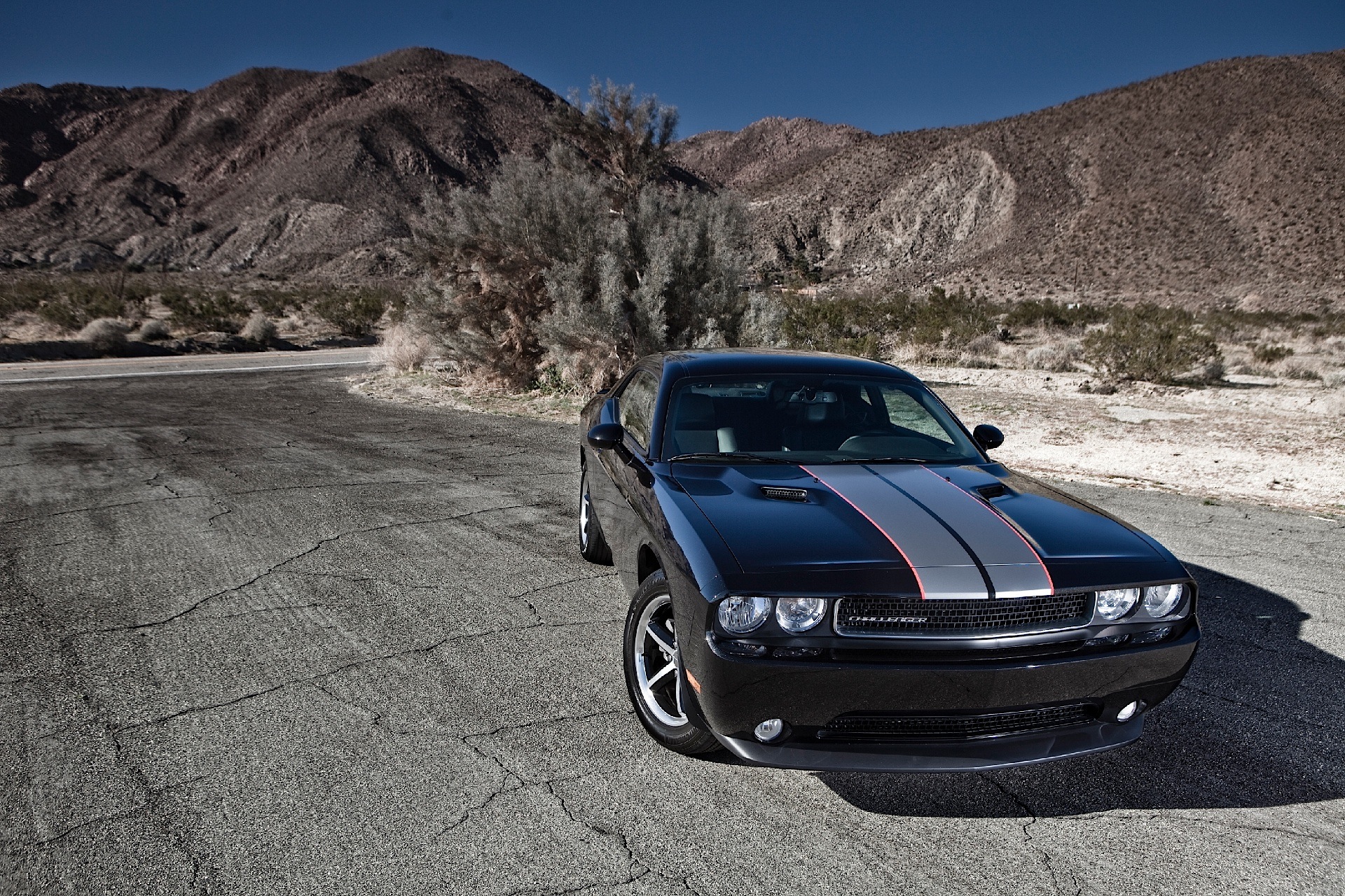 Dodge Challenger photo 54