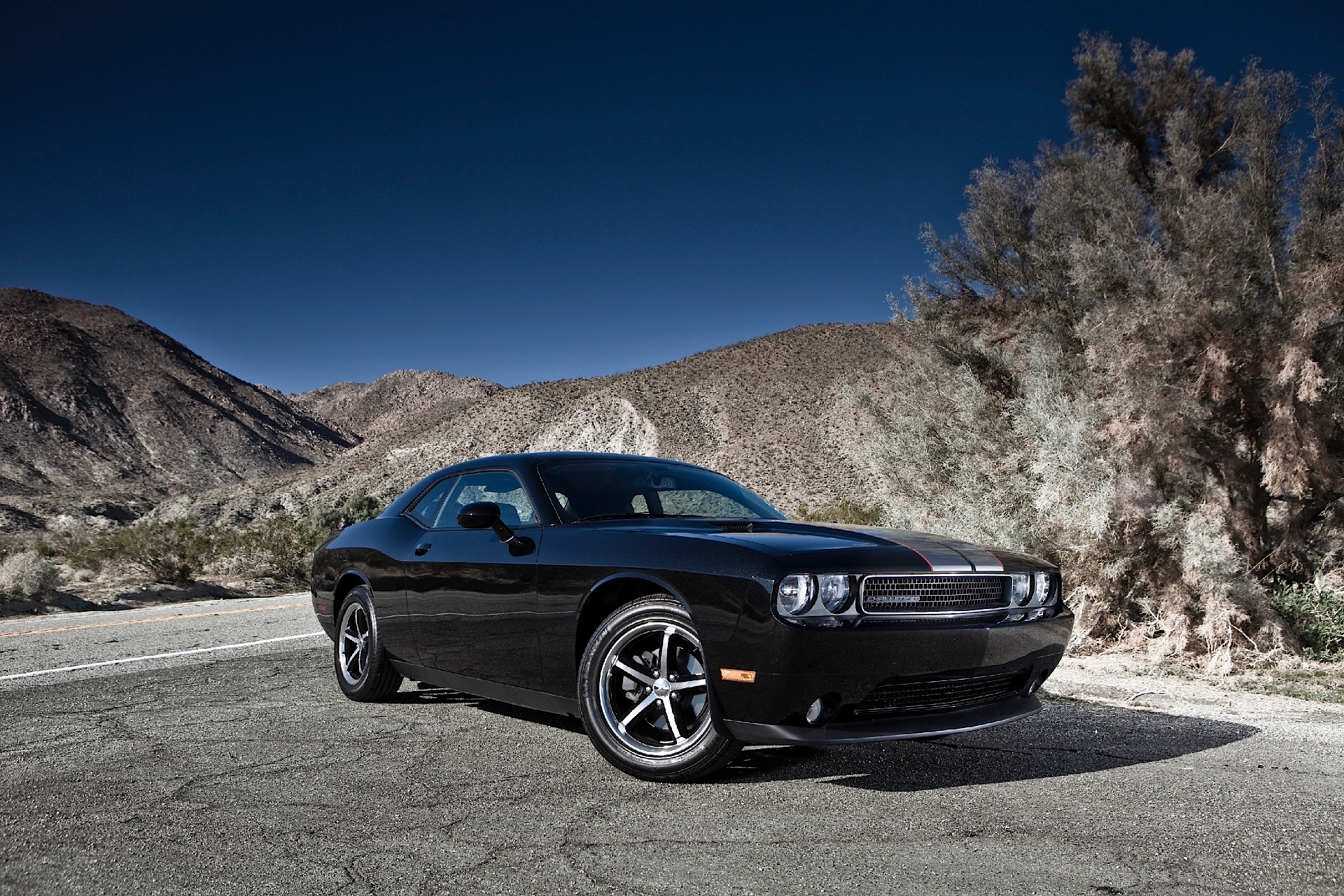 Dodge Challenger photo 58